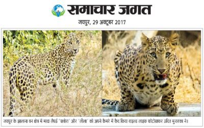 WhatsApp Image 2017-10-29 at 11.07.33 AM