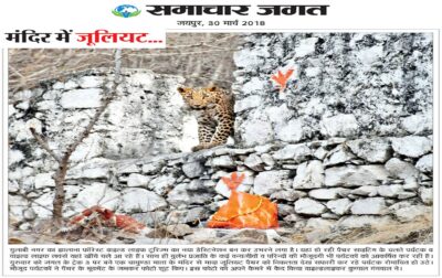 WhatsApp Image 2018-03-30 at 8.31.26 AM