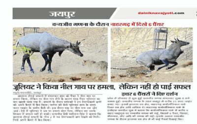 WhatsApp Image 2018-05-02 at 7.35.06 AM