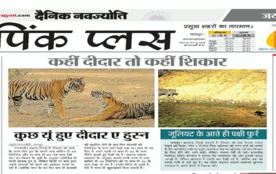 WhatsApp Image 2018-05-07 at 8.26.42 AM