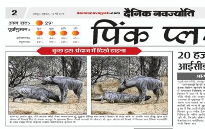 WhatsApp Image 2018-05-17 at 8.36.28 AM (1)