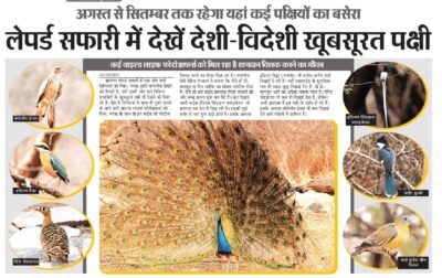 WhatsApp Image 2018-06-12 at 10.38.15 AM