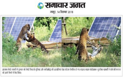 WhatsApp Image 2018-09-14 at 10.19.21