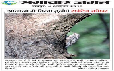 WhatsApp Image 2018-10-04 at 08.18.44