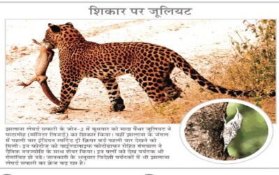 WhatsApp Image 2018-10-04 at 10.00.28