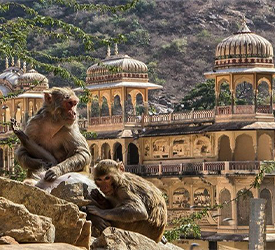 Abhaneri